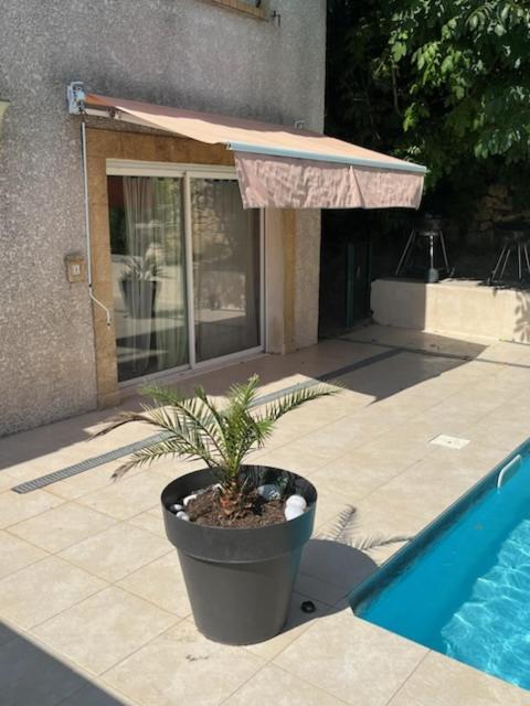 سالو دو بروفونْسْ L'Appartement Du Micocoulier المظهر الخارجي الصورة